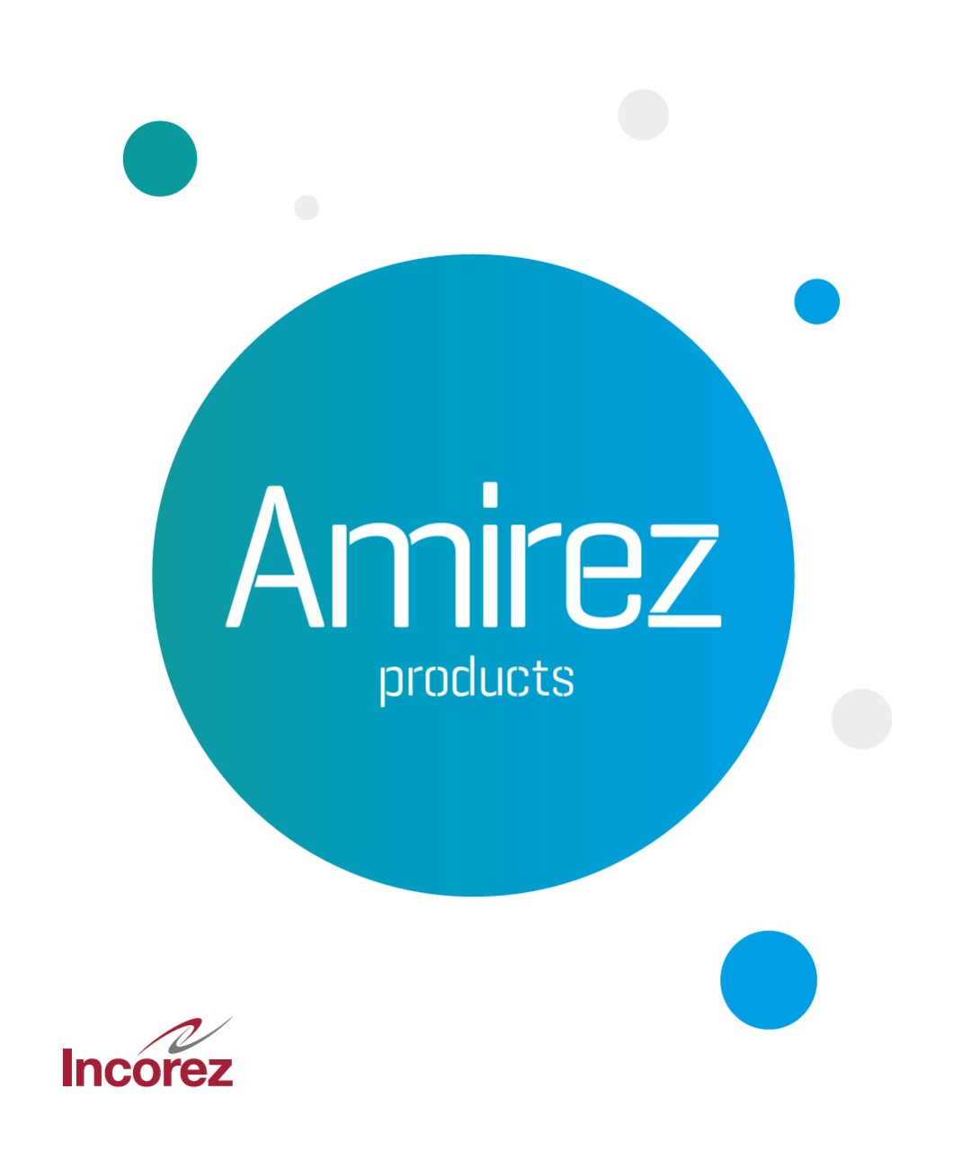 Amirez Brochure